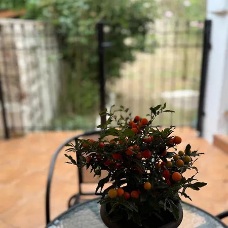 شقة Fani's No 14 Tríkala