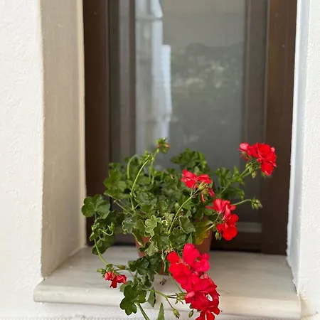 Apartament Fani's No 14 Tríkala