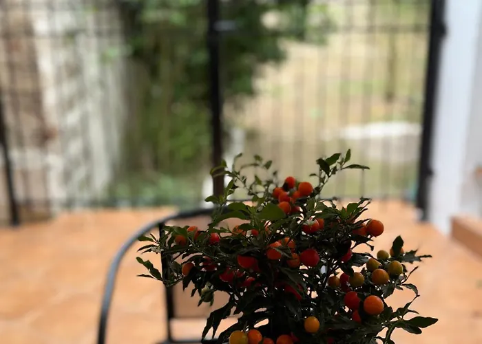 公寓 Fani's No 14 特里卡拉