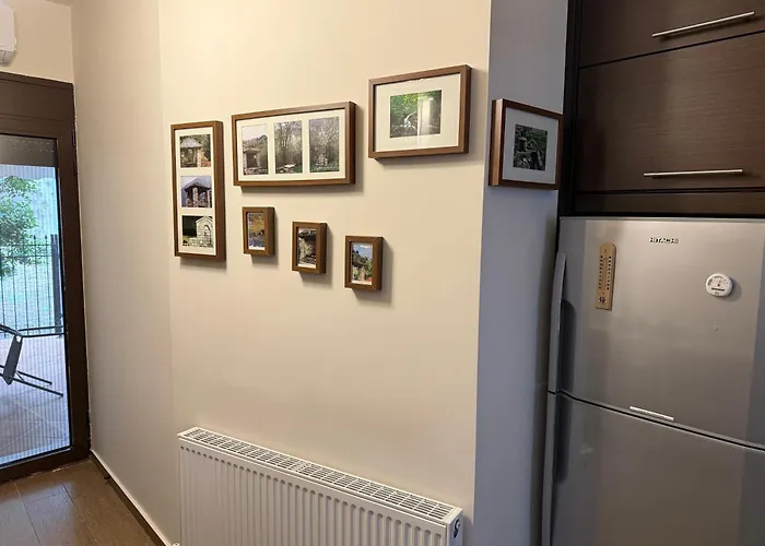 公寓 Fani's No 14 特里卡拉