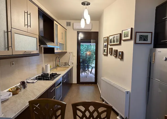 公寓 Fani's No 14 特里卡拉